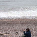 Buddleigh Salterton, Dorset